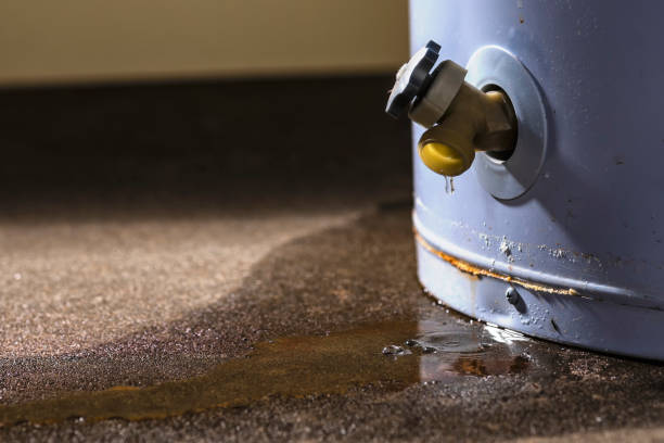 Best Water damage restoration insurance claims  in Frederic, WI