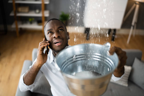 Best Basement water damage restoration  in Frederic, WI