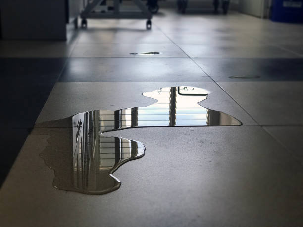Best Carpet water damage restoration  in Frederic, WI