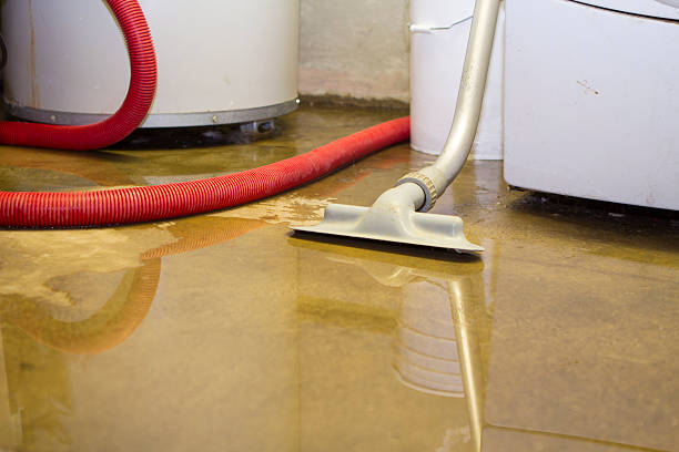 Best Professional water damage repair  in Frederic, WI