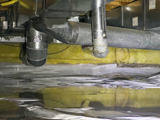 Best Water damage restoration experts  in Frederic, WI