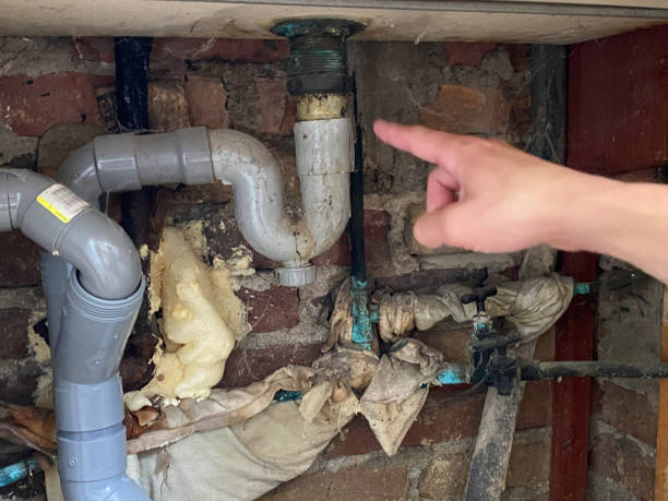 Best Water damage restoration near me  in Frederic, WI