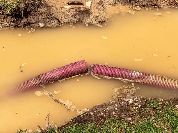 Best Water damage repair service  in Frederic, WI