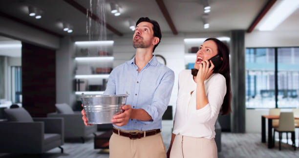 Best Water damage contractors near me  in Frederic, WI
