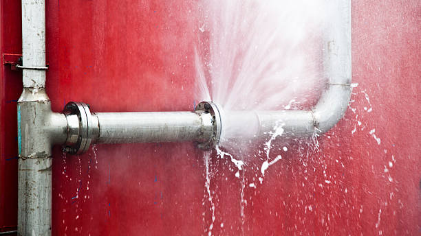 Best Water damage mitigation services  in Frederic, WI